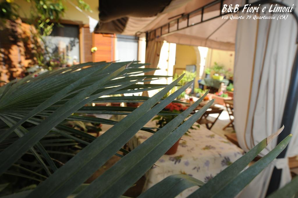 콰르투치우 Fiori E Limoni B&B 외부 사진